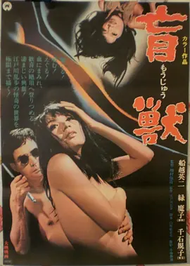 标本零七号压片图，深色木框内的干燥叶片标本